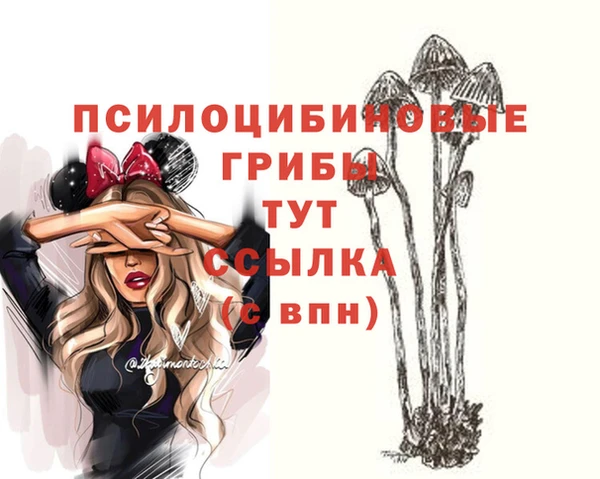 mix Алексин