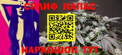ГАЛЛЮЦИНОГЕННЫЕ ГРИБЫ Камышлов