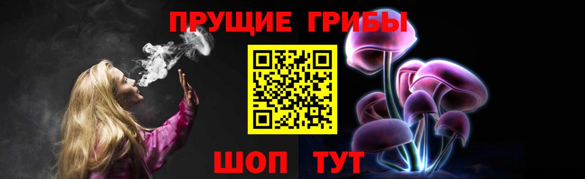 Псилоцибиновые грибы прущие грибы  Вход с VPN  Кудрово 